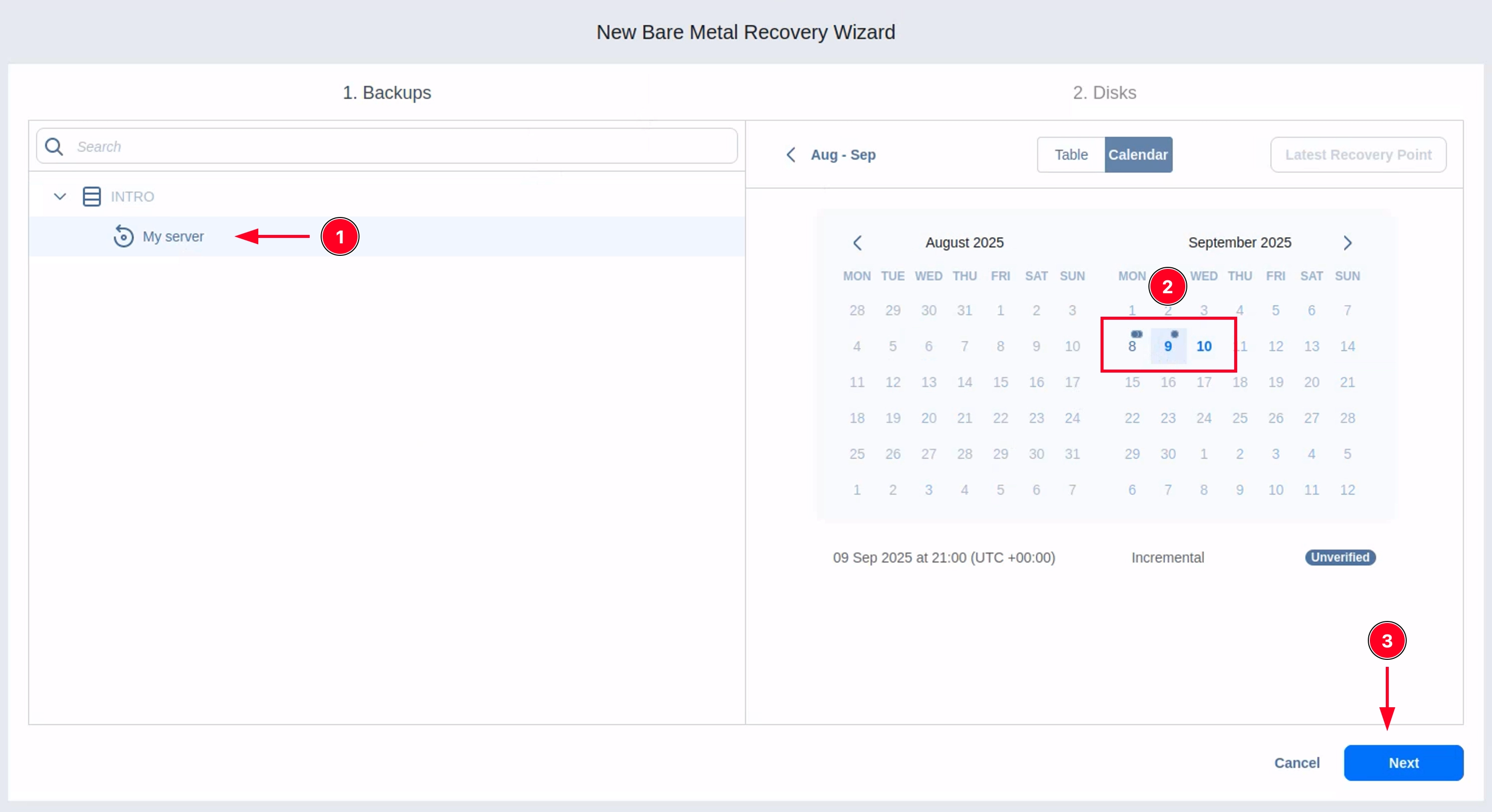 Резервное копирование сервера с помощью службы INTROSERV Backup